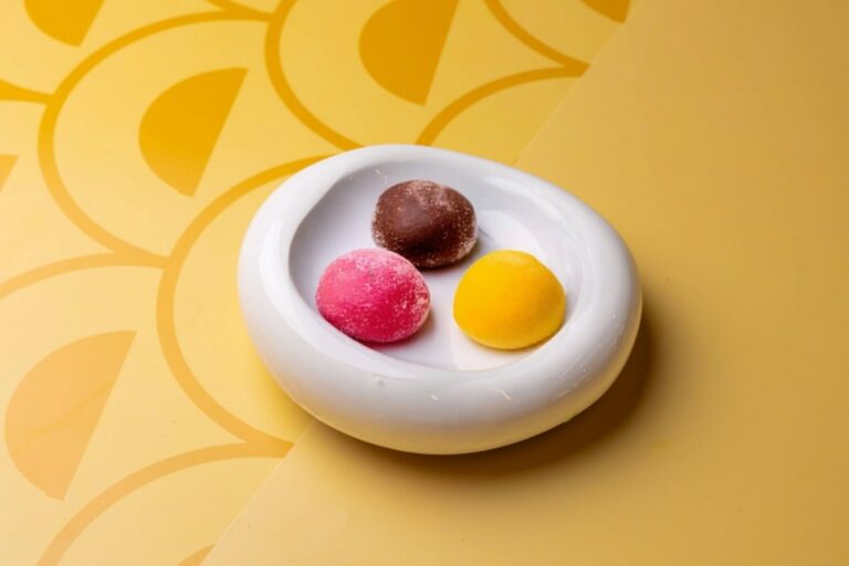 ASSORTIMENT MOCHIS(1)