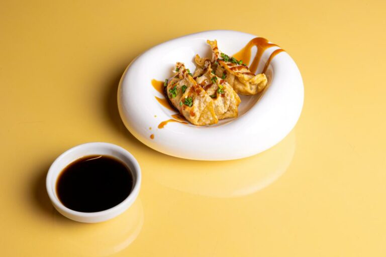GYOZAS 3 TOHANA CREVETTE POULET